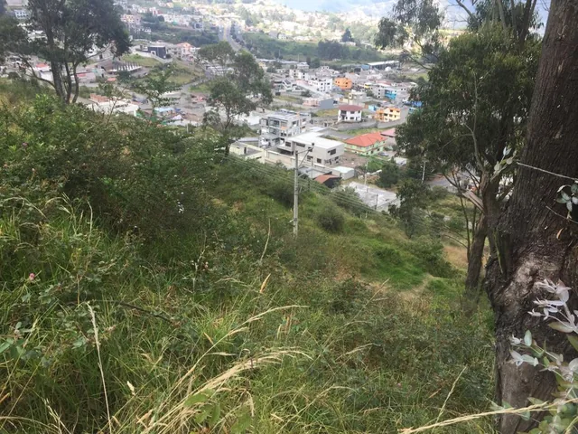 Venta Terreno Los Chillos Puente 5 Ciudadela de Los Servidores de La Salud — imagen 2