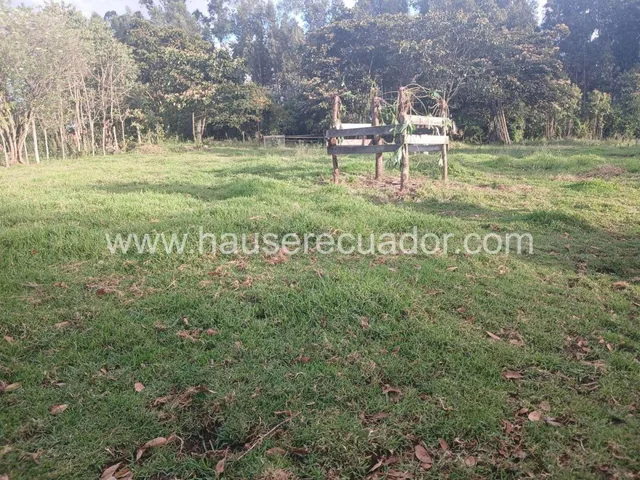 Terreno con Gran Potencial Para Constructoras, Proyectos de Vivienda o Finca Privada – Inchalillo — imagen 2