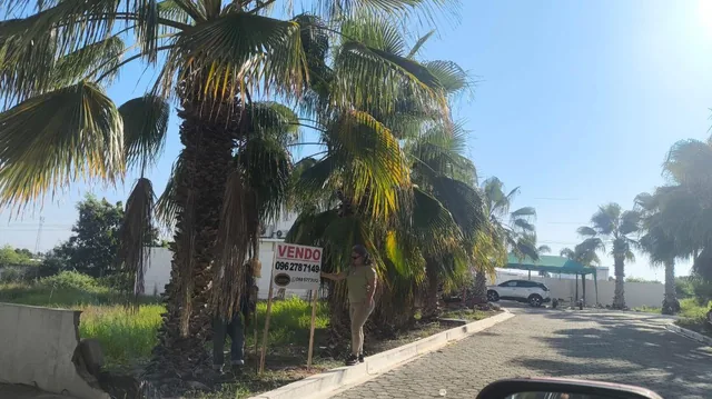 Venta Terreno en Punta Centinela de 336 m² Oportunidad — imagen 5
