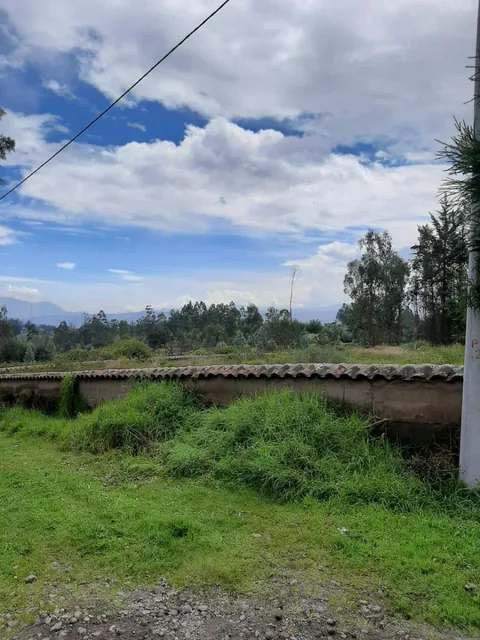 Vendo Terreno Sector Quinche - La Esperanza — imagen 3
