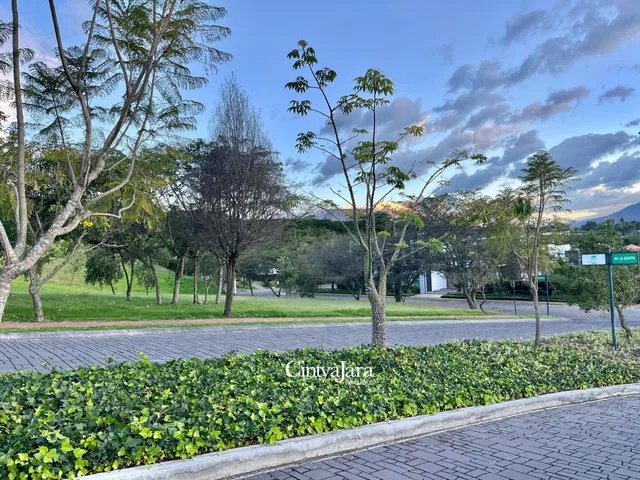 Oportunidad, Terreno Unifamiliar en Urbanizacion Aaa — imagen 5
