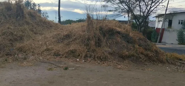 Nayón, Calle Manuela Sáenz, Vendo Terreno de 780 m², Frente 57 m, Cos. Pb 35 %, cos Total 70% — imagen 4