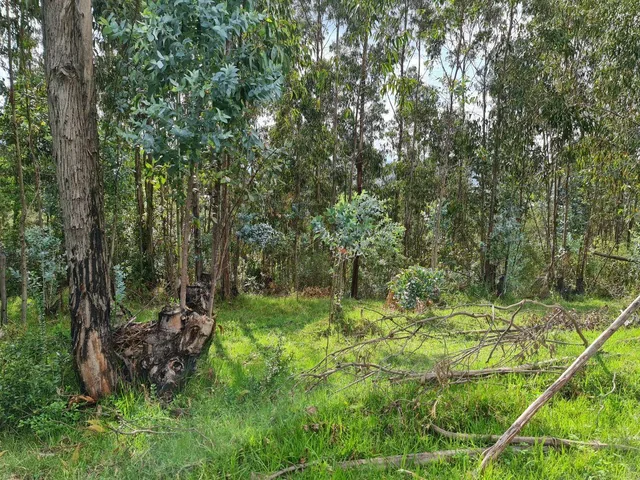 Terreno en Venta | Santa Teresa de Píntag — imagen 5
