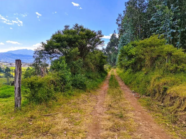 Terreno en Venta | Santa Teresa de Píntag — imagen 3