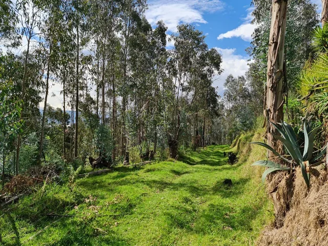 Terreno en Venta | Santa Teresa de Píntag — imagen 2