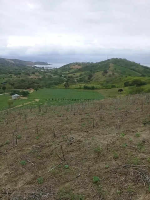 Venta de Terreno Vista Al Mar Machalilla Manabi, Manabí — imagen 5
