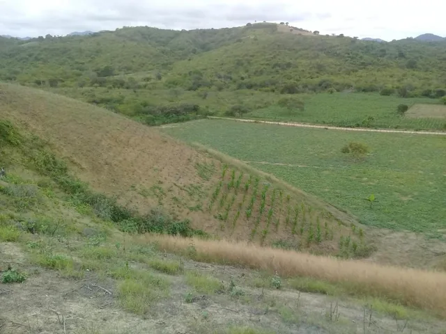 Venta de Terreno Vista Al Mar Machalilla Manabi, Manabí — imagen 4