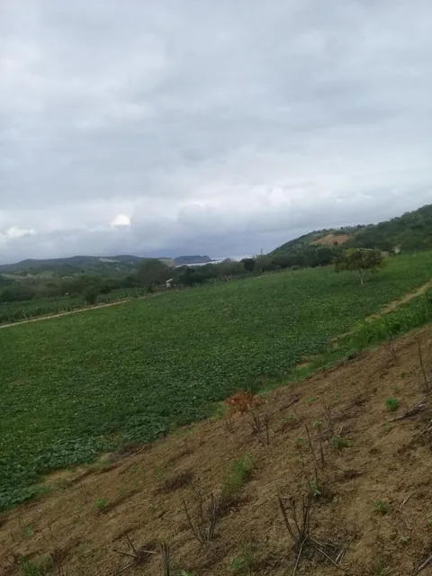 Venta de Terreno Vista Al Mar Machalilla Manabi, Manabí — imagen 3
