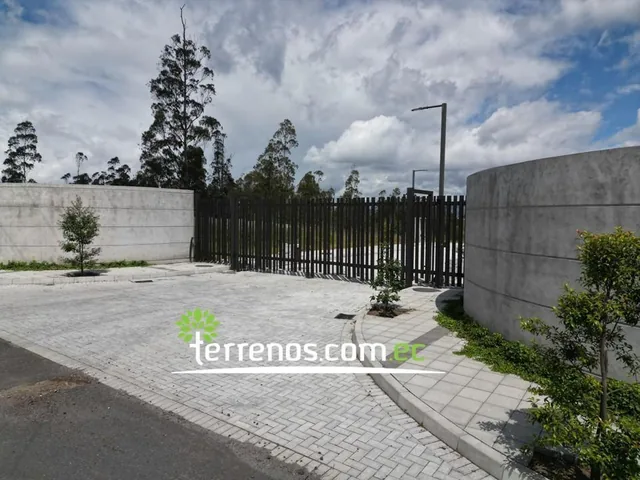 Venta Terreno en Llano Chico 1.000 m² Urb. Privada El Arupo II, 15 Min de Nayon — imagen 3