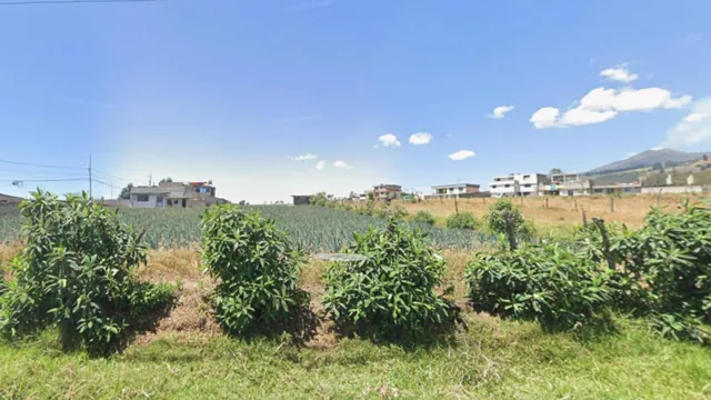 Terreno en Venta, Vía Nono — imagen 5