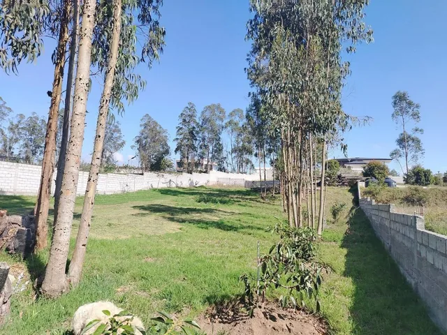 Terreno 2.300 m² con Cerrramiento, Llano Chico Excelente Urbanización — imagen 2