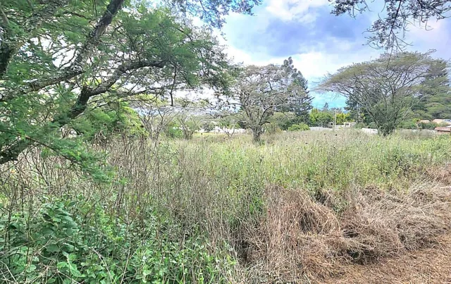 Venta de Terreno de 8500 m en La Cerámica, Tumbaco — imagen 5