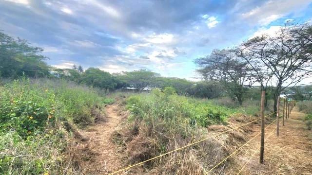 Venta de Terreno de 8500 m en La Cerámica, Tumbaco — imagen 4