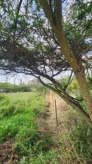 Venta de Terreno de 8500 m en La Cerámica, Tumbaco — imagen 3