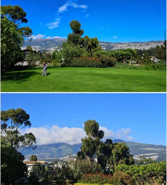Vendo Terreno con Casa 4768 m² Ideal Inversionistas Ya Da Rentabilidad. Balcones del Norte — imagen 5