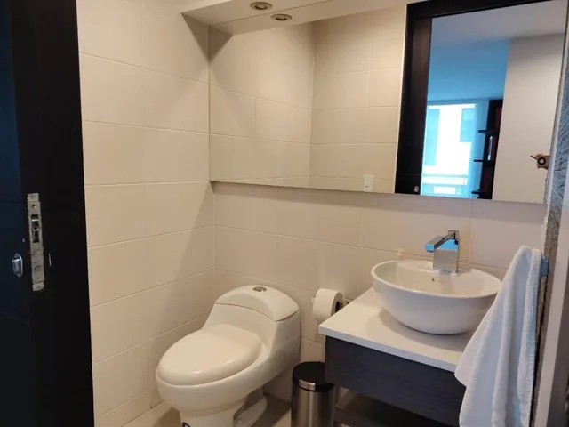 Venta Espectacular Departamento Piso 11 La Carolina — imagen 4