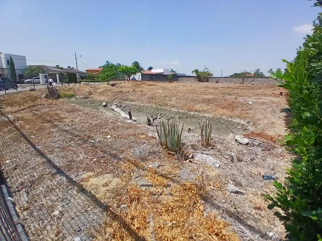 Terreno en Venta 2253 El Cortijo Samborondon, Guayas — imagen 3