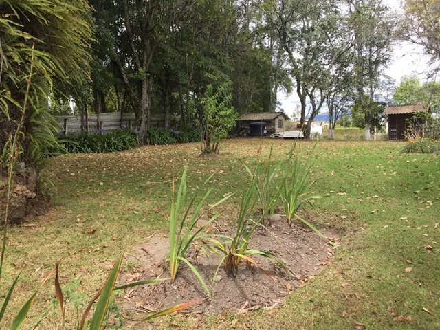 Quinta con Amplio Terreno, Cerca Av Ilaló, Vía Al Tingo, Valle de Los Chillos — imagen 2