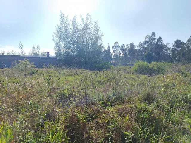 Venta de Terreno de 2300 m² en Llano Chico Dentro de Exclusiva Urbanización — imagen 3
