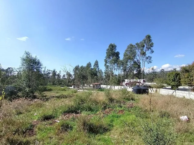 Venta de Terreno de 2300 m² en Llano Chico Dentro de Exclusiva Urbanización — imagen 2