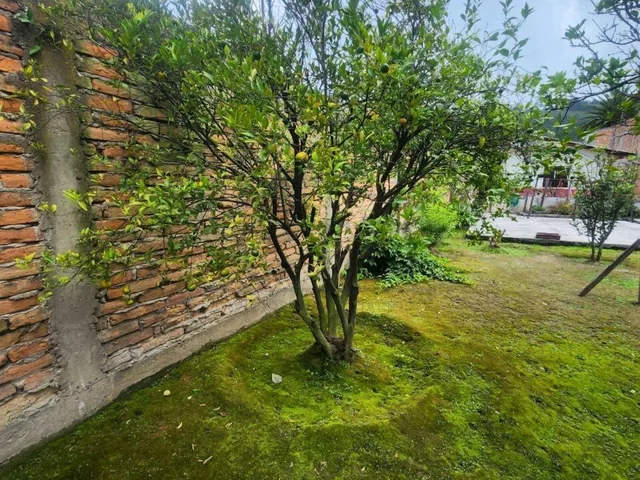 Terreno de 625 m² en Venta en El Centro de Ibarra, Sector Los Ceibos, Imbabura — imagen 5