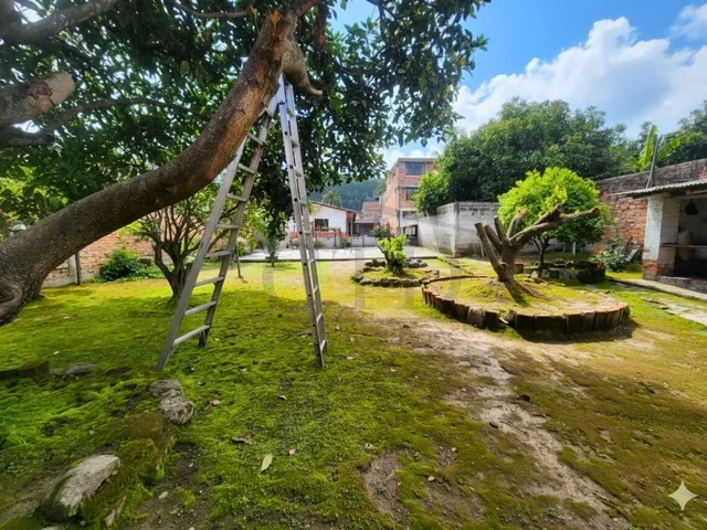 Terreno de 625 m² en Venta en El Centro de Ibarra, Sector Los Ceibos, Imbabura — imagen 4