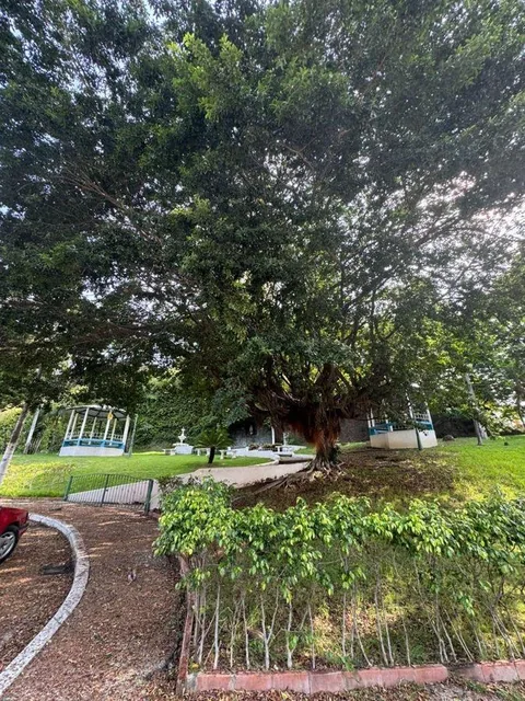 Terreno Bifamiliar de 305 m² en Urb. Ceibos Norte, Guayas — imagen 4