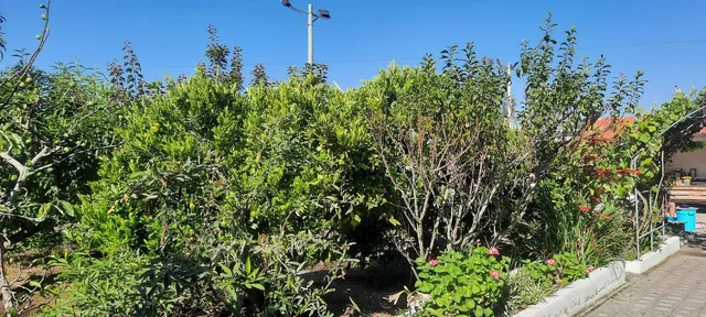 Vendo Terreno de 600 m en Urbanización en Yaruqui — imagen 4
