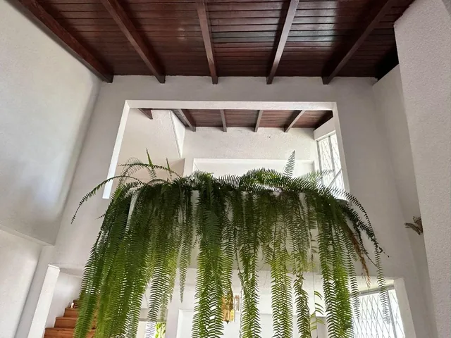 Casa en Venta Cumbaya, Urbanizacion Valle 2 y 3 — imagen 3