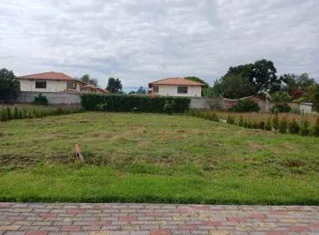 Tterreno de Venta en Tumbaco — imagen 3