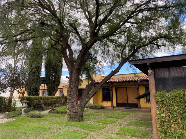 Se Vende Hermosa Propiedad en Puembo (Prox. Arrayanes) — imagen 5
