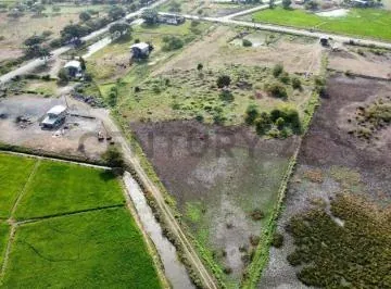 Rento Terreno Estratégico Para Proyectos Industriales Y/o Urbanos Pcev. Guayas — imagen 2