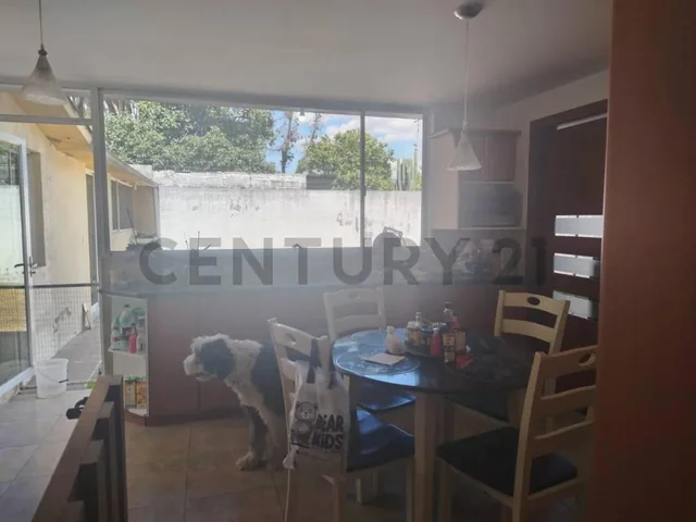 Casa en Playa Chica San Rafael — imagen 2
