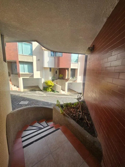 Venta Casa Norte de Quito Tres Dorm. y Estudio Dos Parqueaderos 200 m Terraza Pergola — imagen 4