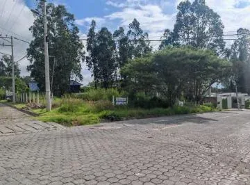 En Renta: Terreno Esquinero de 1.200 m² en Vía Principal de Nayón – Máximo Tráfico — imagen 4