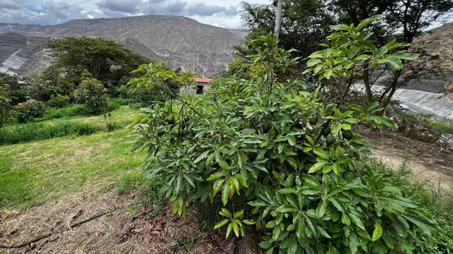 Vendo Bonito Lote en Guayllabamba — imagen 2