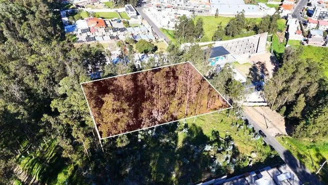Terreno en Venta 2502 m² – Sector La Armenia (Sebastián de Benalcázar) — imagen 5