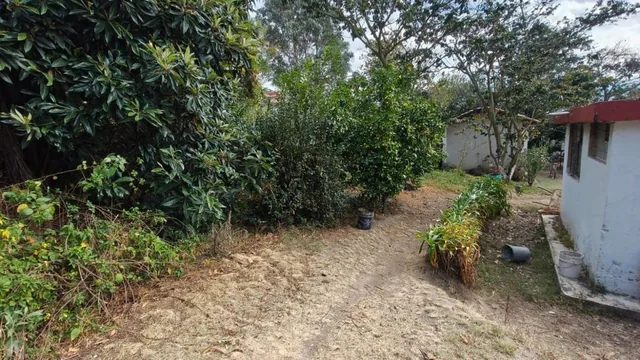 Terreno en San Juan de Cumbayá — imagen 3