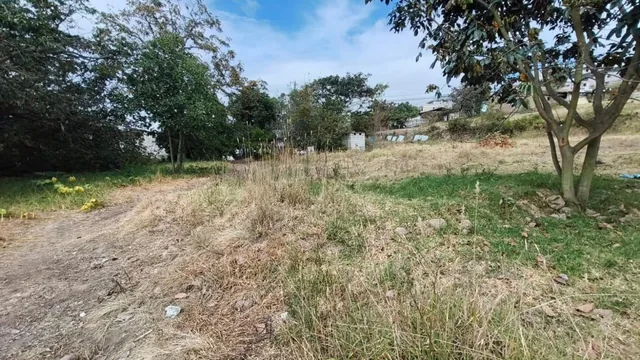 Terreno en San Juan de Cumbayá — imagen 2