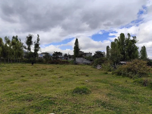 Terreno en Renta en Tumbaco, Ideal Para Guardería Canina, Logística o Club Deportivo. Sin Cerramiento — imagen 5