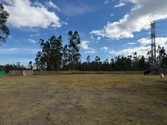 Vendo Propiedad, Moderna Casa con Terreno de 4000 m² Sector El Inga Pifo — imagen 5
