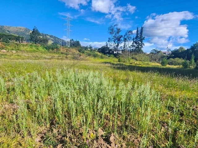 Venta Lote de Terreno de 1 Hectárea en Oyambarillo, Tababela — imagen 4