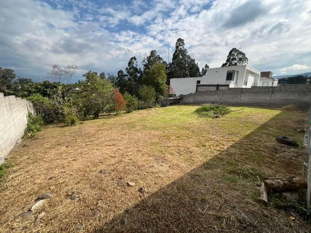 Vendo Terreno Dentro de Urbanización Sector Armenia — imagen 5