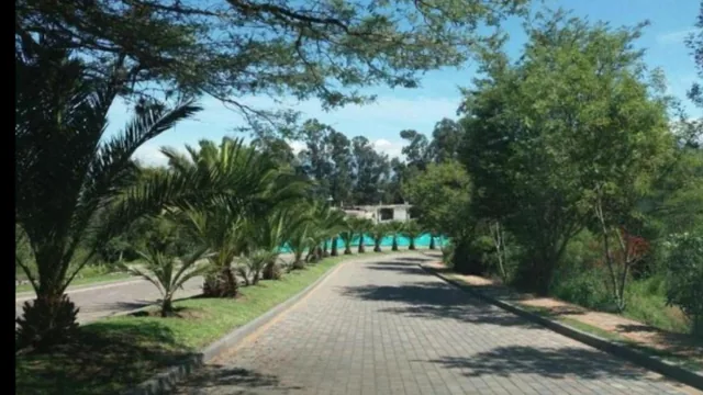 Cumbayá Pacho Salas, Urbanización Casa de Campo, Club Privado, 2.500 m² — imagen 5