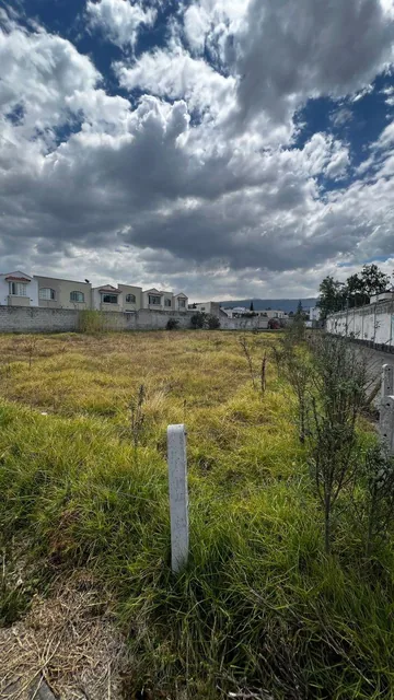 Lote Terreno en Capelo — imagen 2