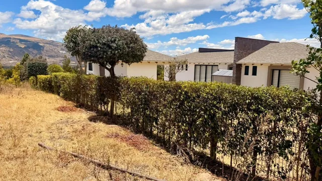 Terreno en Tabacundo — imagen 2
