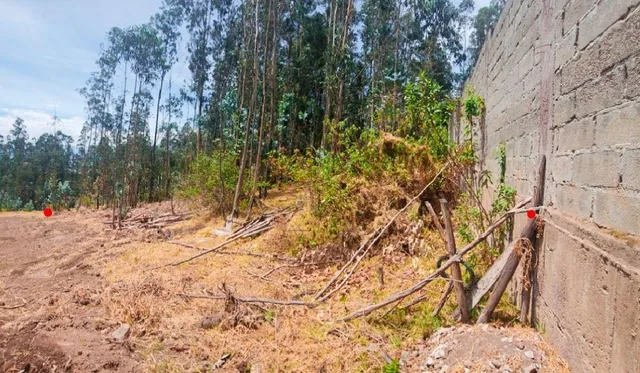 Terreno de 1.000 m² en Urbanización Residencial y Ecológica, Conocoto, Cerca de La Salle — imagen 4