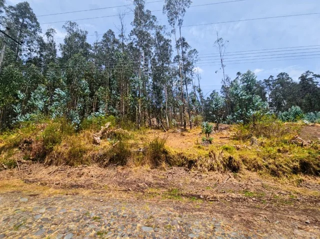 Terreno de 1.000 m² en Urbanización Residencial y Ecológica, Conocoto, Cerca de La Salle — imagen 3