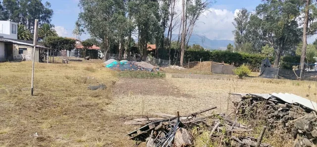 Pifo, Barrio San Francisco, Vendo Terreno 4900 m², Ideal Proyect Inmobiliario, Cos Pb 50%, Cos T. 100 — imagen 4