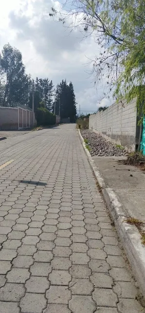 Pifo, Barrio San Francisco, Vendo Terreno 4900 m², Ideal Proyect Inmobiliario, Cos Pb 50%, Cos T. 100 — imagen 2